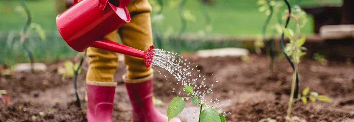 Kind gießt Pflanze mit Gießkanne